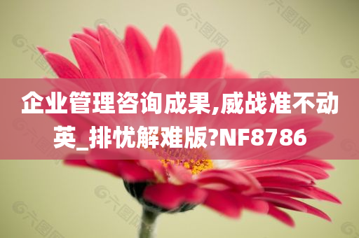 企业管理咨询成果,威战准不动英_排忧解难版?NF8786