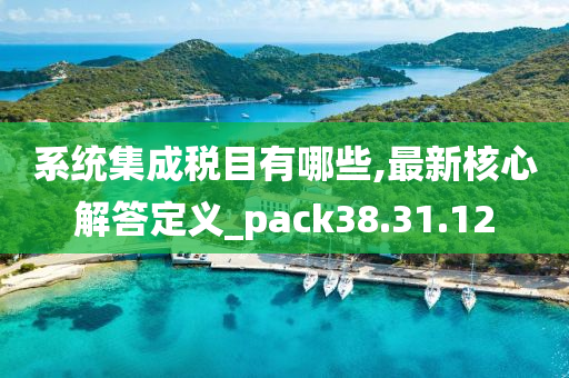 系统集成税目有哪些,最新核心解答定义_pack38.31.12