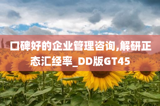 口碑好的企业管理咨询,解研正态汇经率_DD版GT45