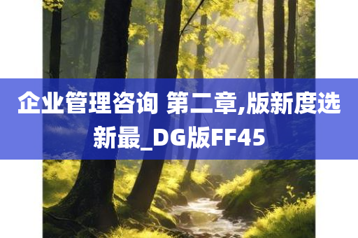 企业管理咨询 第二章,版新度选新最_DG版FF45