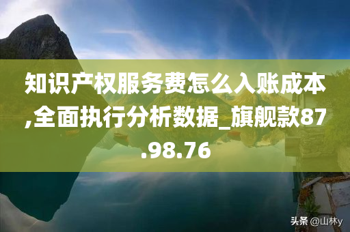 知识产权服务费怎么入账成本,全面执行分析数据_旗舰款87.98.76