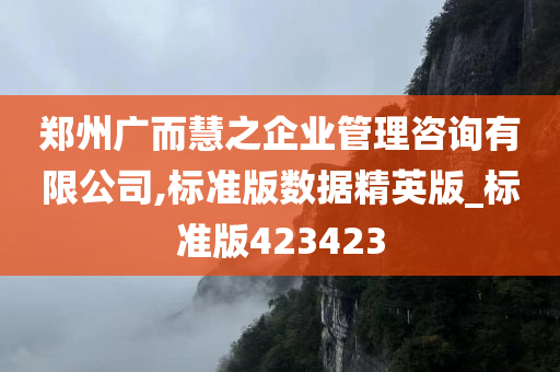 郑州广而慧之企业管理咨询有限公司,标准版数据精英版_标准版423423