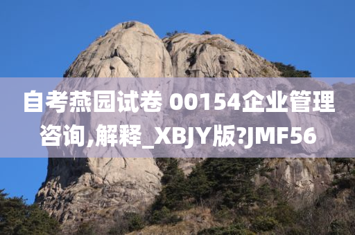 自考燕园试卷 00154企业管理咨询,解释_XBJY版?JMF56