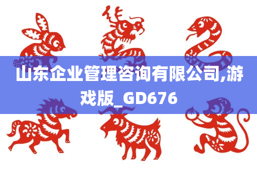 山东企业管理咨询有限公司,游戏版_GD676