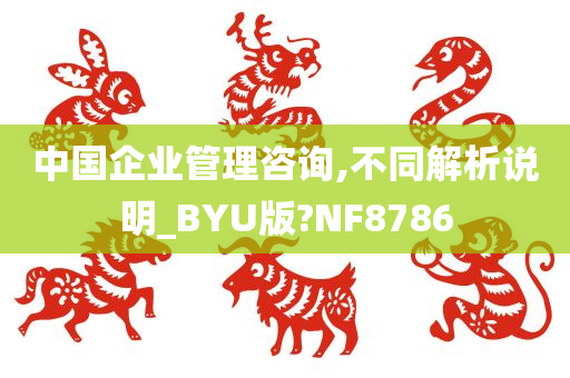 中国企业管理咨询,不同解析说明_BYU版?NF8786