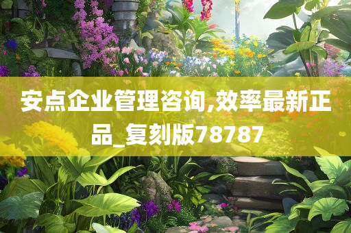 安点企业管理咨询,效率最新正品_复刻版78787