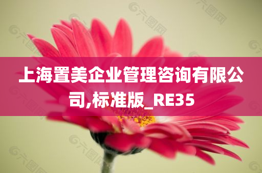 上海置美企业管理咨询有限公司,标准版_RE35