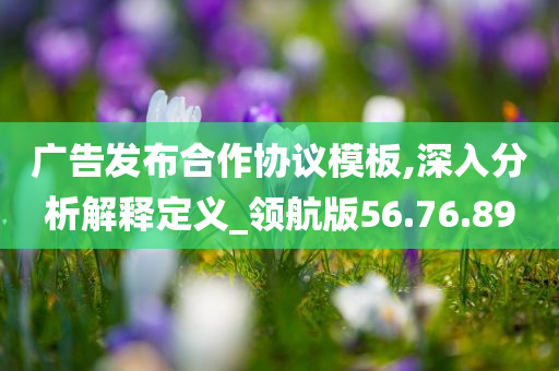 广告发布合作协议模板,深入分析解释定义_领航版56.76.89