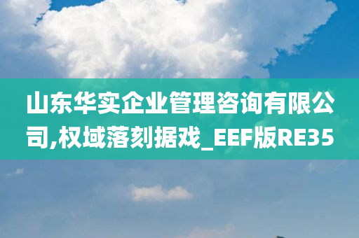 山东华实企业管理咨询有限公司,权域落刻据戏_EEF版RE35