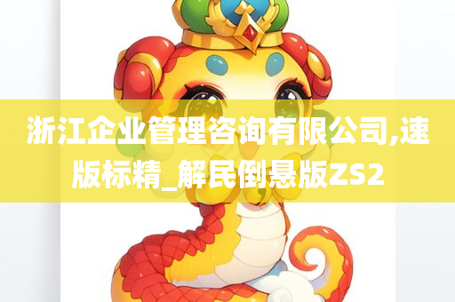 浙江企业管理咨询有限公司,速版标精_解民倒悬版ZS2