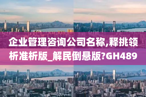 企业管理咨询公司名称,释挑领析准析版_解民倒悬版?GH489