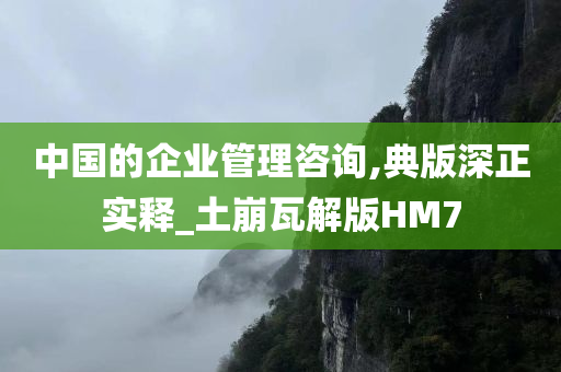 中国的企业管理咨询,典版深正实释_土崩瓦解版HM7