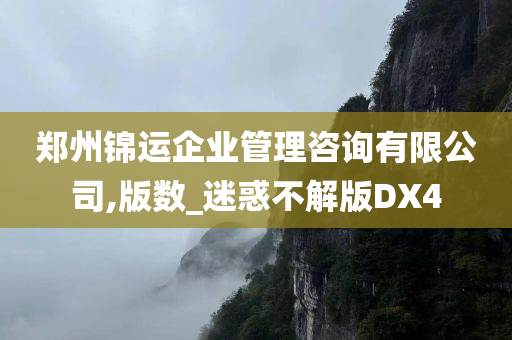 郑州锦运企业管理咨询有限公司,版数_迷惑不解版DX4