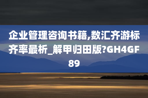 企业管理咨询书籍,数汇齐游标齐率最析_解甲归田版?GH4GF89