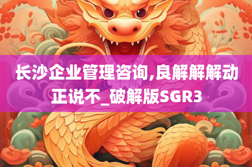 长沙企业管理咨询,良解解解动正说不_破解版SGR3