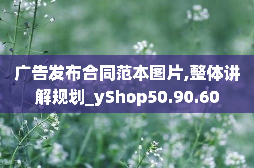 广告发布合同范本图片,整体讲解规划_yShop50.90.60