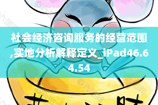 社会经济咨询服务的经营范围,实地分析解释定义_iPad46.64.54