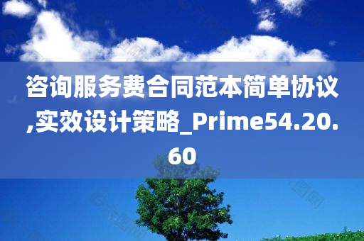 咨询服务费合同范本简单协议,实效设计策略_Prime54.20.60