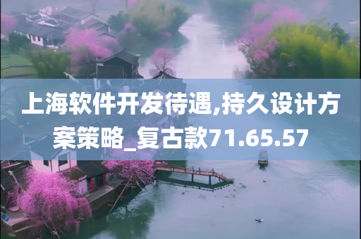 上海软件开发待遇,持久设计方案策略_复古款71.65.57