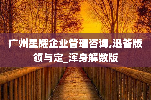 广州星耀企业管理咨询,迅答版领与定_浑身解数版