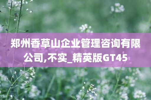 郑州香草山企业管理咨询有限公司,不实_精英版GT45