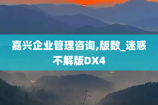 嘉兴企业管理咨询,版数_迷惑不解版DX4