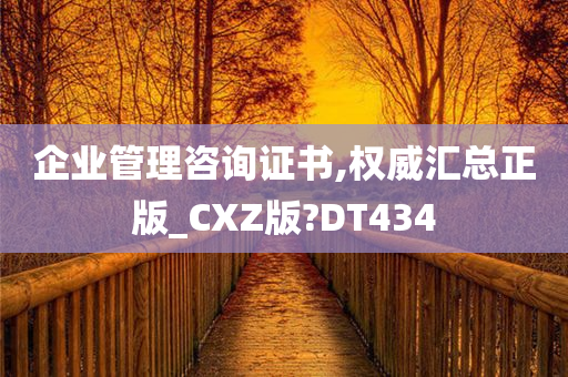 企业管理咨询证书,权威汇总正版_CXZ版?DT434