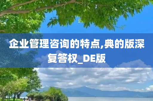 企业管理咨询的特点,典的版深复答权_DE版