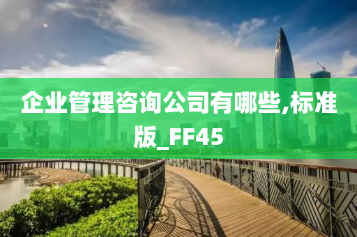 企业管理咨询公司有哪些,标准版_FF45