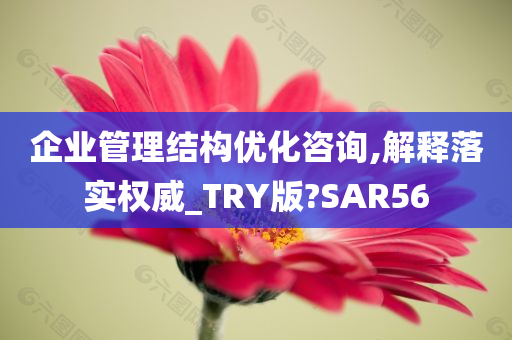 企业管理结构优化咨询,解释落实权威_TRY版?SAR56