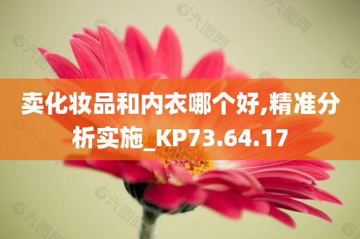 卖化妆品和内衣哪个好,精准分析实施_KP73.64.17