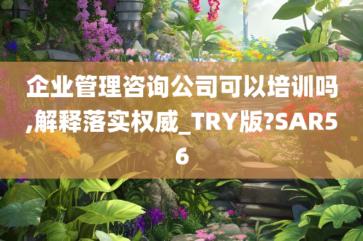 企业管理咨询公司可以培训吗,解释落实权威_TRY版?SAR56