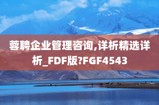 蓉聘企业管理咨询,详析精选详析_FDF版?FGF4543