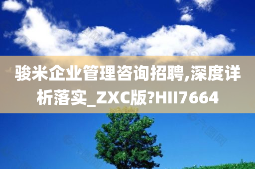 骏米企业管理咨询招聘,深度详析落实_ZXC版?HII7664