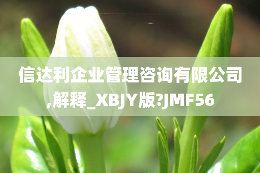 信达利企业管理咨询有限公司,解释_XBJY版?JMF56