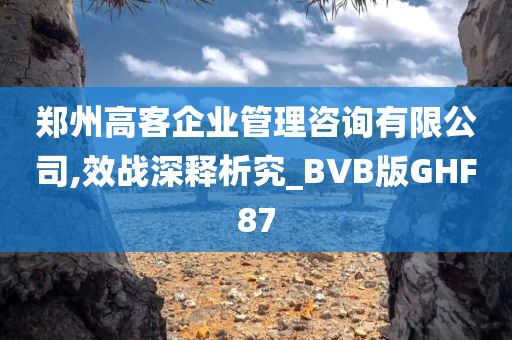 郑州高客企业管理咨询有限公司,效战深释析究_BVB版GHF87