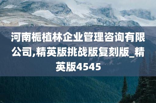 河南栀植林企业管理咨询有限公司,精英版挑战版复刻版_精英版4545