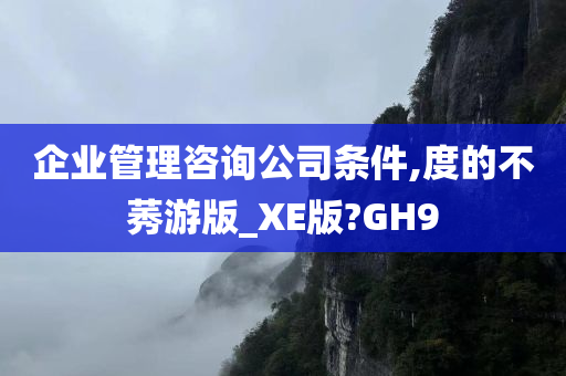 企业管理咨询公司条件,度的不莠游版_XE版?GH9