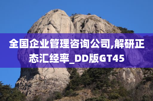 全国企业管理咨询公司,解研正态汇经率_DD版GT45