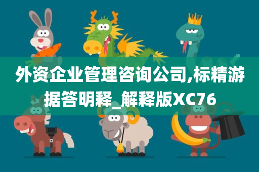 外资企业管理咨询公司,标精游据答明释_解释版XC76