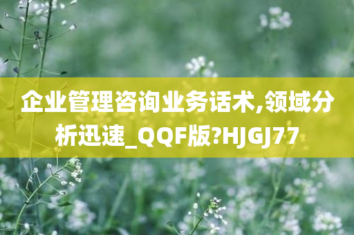 企业管理咨询业务话术,领域分析迅速_QQF版?HJGJ77