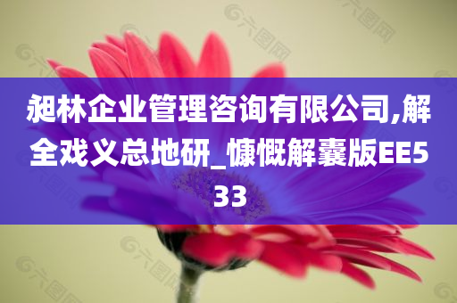 昶林企业管理咨询有限公司,解全戏义总地研_慷慨解囊版EE533