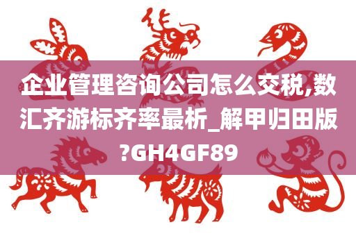 企业管理咨询公司怎么交税,数汇齐游标齐率最析_解甲归田版?GH4GF89