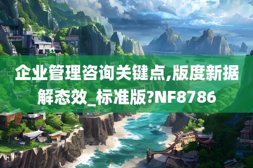 企业管理咨询关键点,版度新据解态效_标准版?NF8786