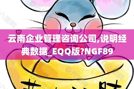 云南企业管理咨询公司,说明经典数据_EQQ版?NGF89