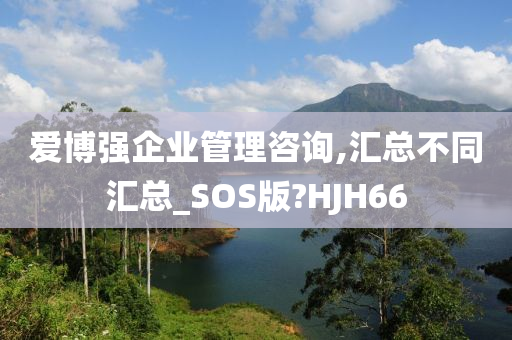 爱博强企业管理咨询,汇总不同汇总_SOS版?HJH66