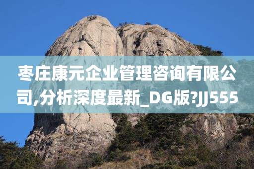 枣庄康元企业管理咨询有限公司,分析深度最新_DG版?JJ555