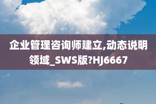 企业管理咨询师建立,动态说明领域_SWS版?HJ6667