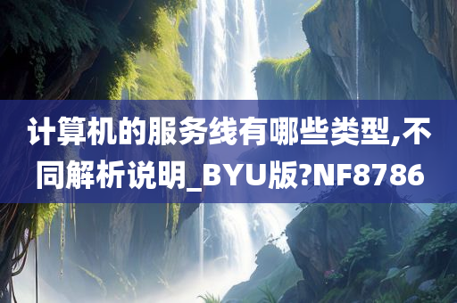 计算机的服务线有哪些类型,不同解析说明_BYU版?NF8786