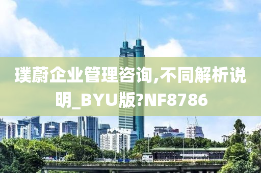 璞蔚企业管理咨询,不同解析说明_BYU版?NF8786